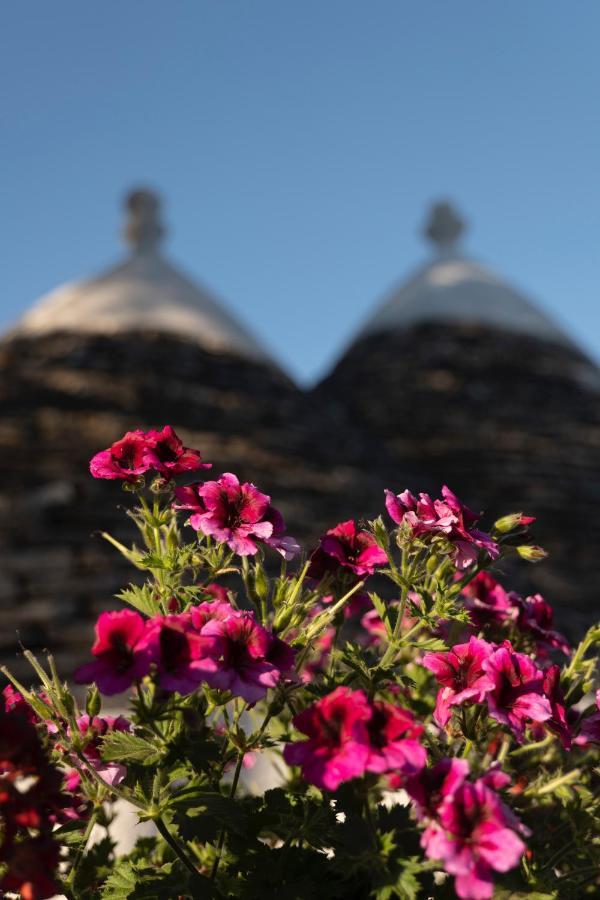 Trulli Ulivi Villa Putignano Eksteriør billede